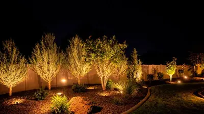 Landscape Lighting Photo