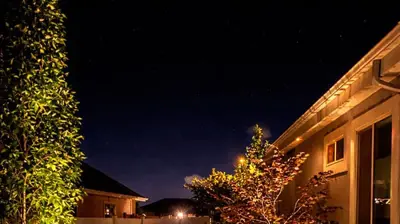 Landscape Lighting Photo